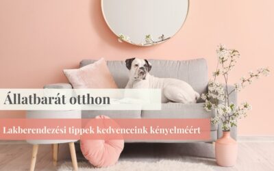 Állatbarát otthon: Lakberendezési tippek kedvenceink kényelméért